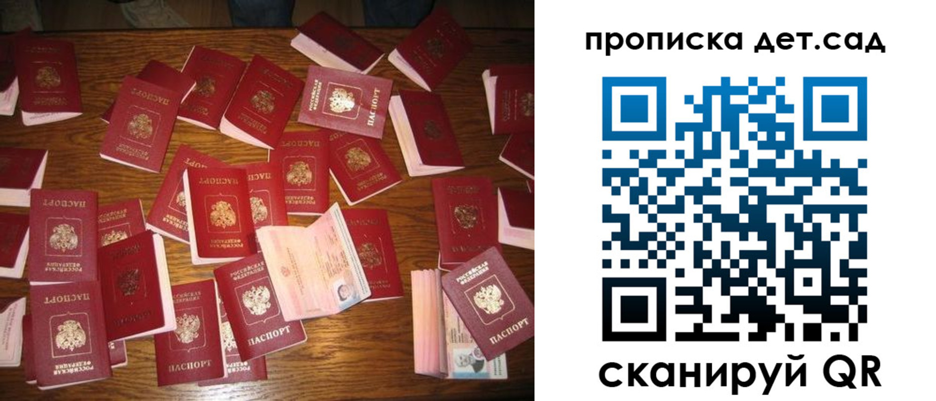 прописка поиск в Сочи
